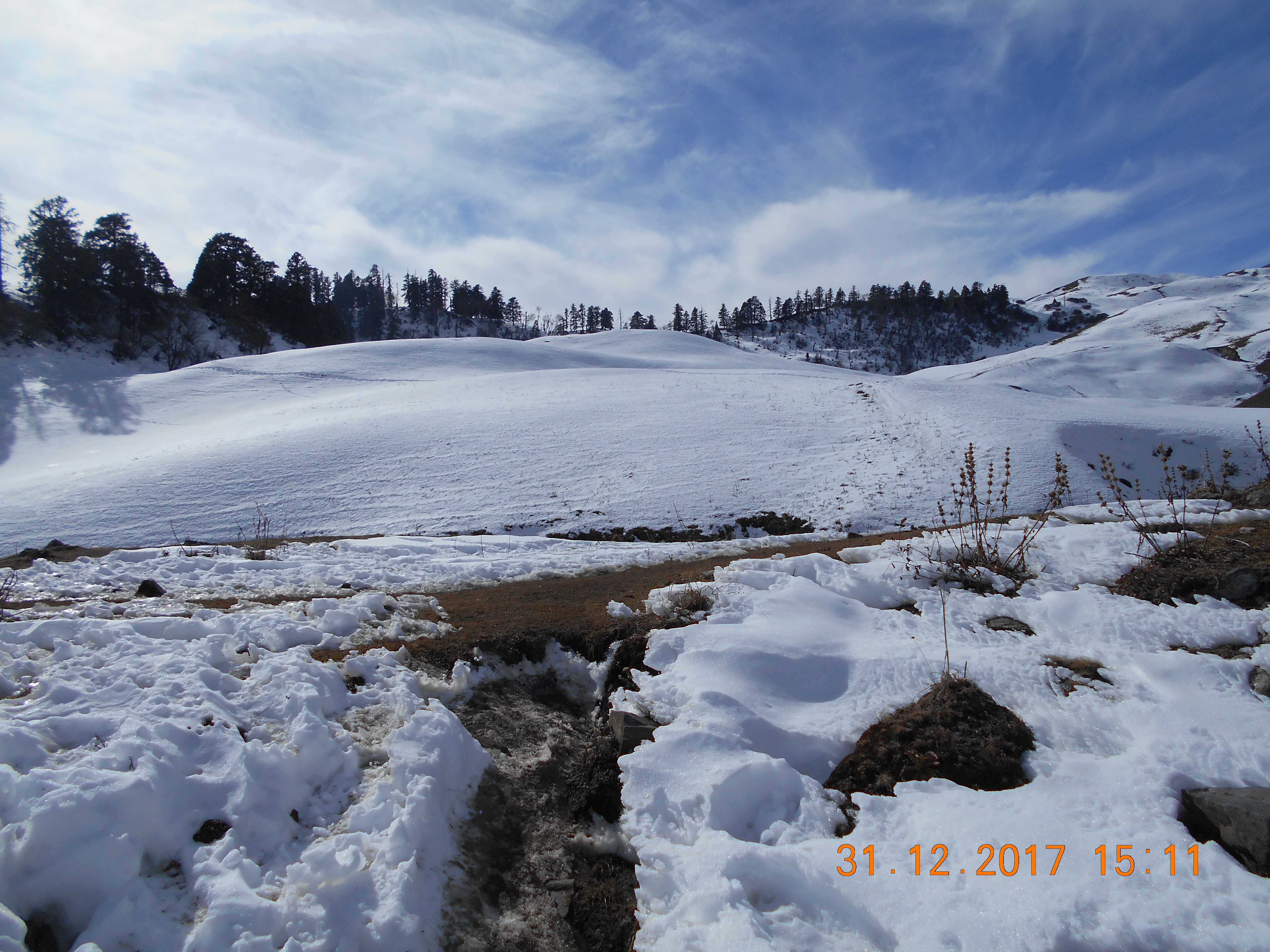 Dayara Bugyal Nature